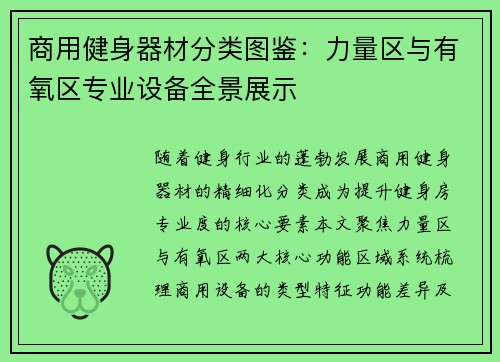 商用健身器材分类图鉴：力量区与有氧区专业设备全景展示