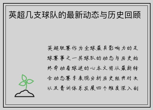 英超几支球队的最新动态与历史回顾